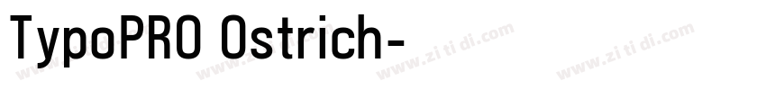 TypoPRO Ostrich字体转换